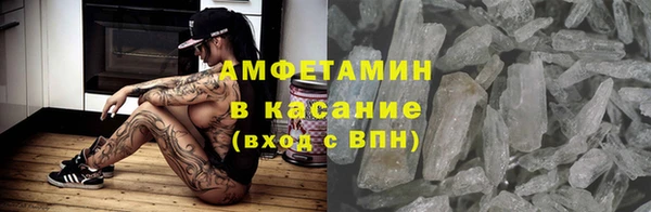 шишки Ельня