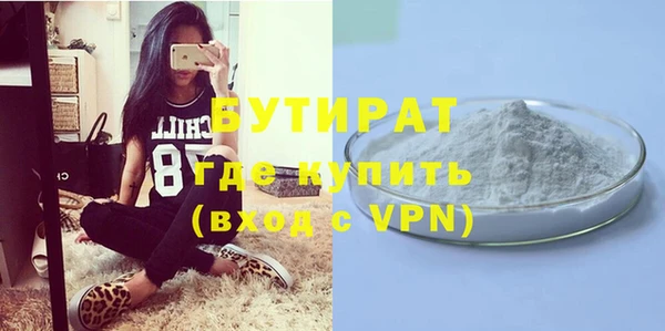 шишки Ельня