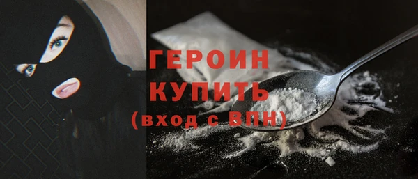 шишки Ельня