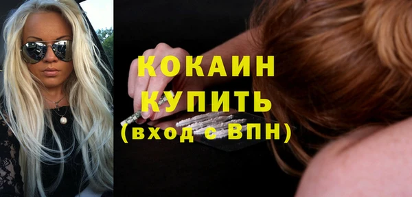 шишки Ельня