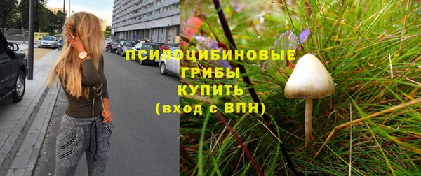 шишки Ельня