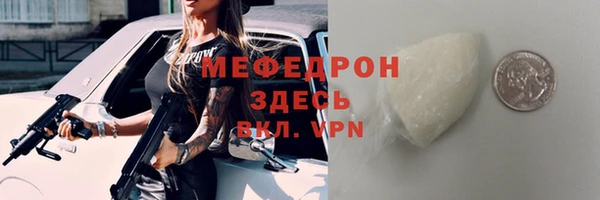 шишки Ельня