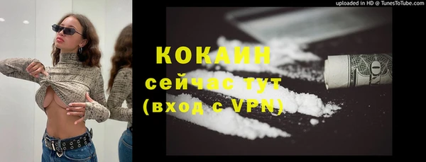 кокс Елизово