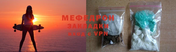 шишки Ельня