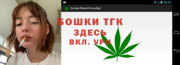 кокс Елизово