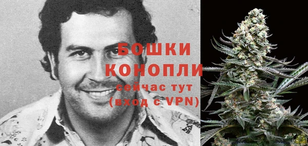 кокс Елизово