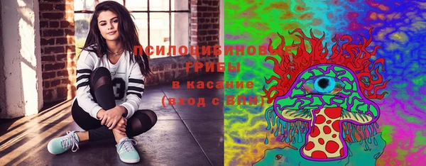 spice Елабуга