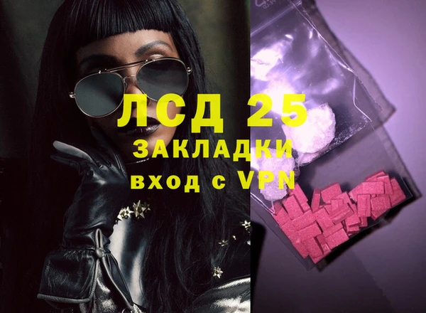шишки Ельня