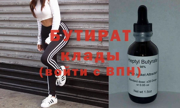 шишки Ельня