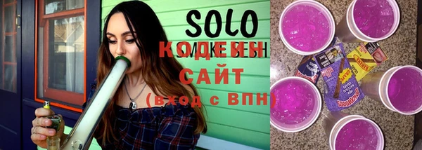 шишки Ельня