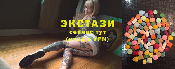 шишки Ельня