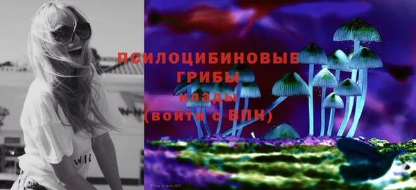 spice Елабуга
