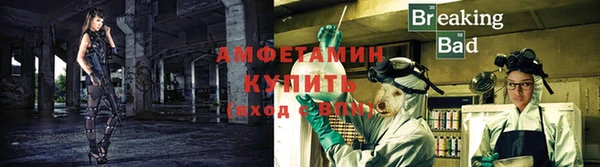 кокс Елизово